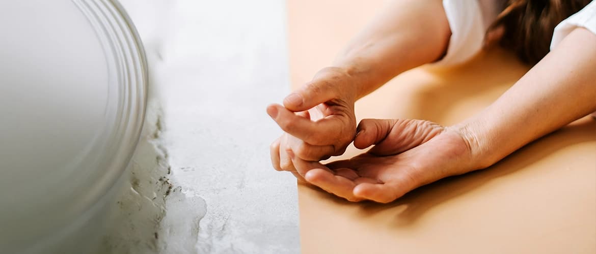INTOO Wellness haqqında